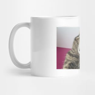 Cat Mug